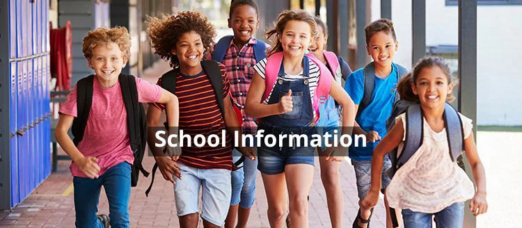Roanoke Virginia Schools Information